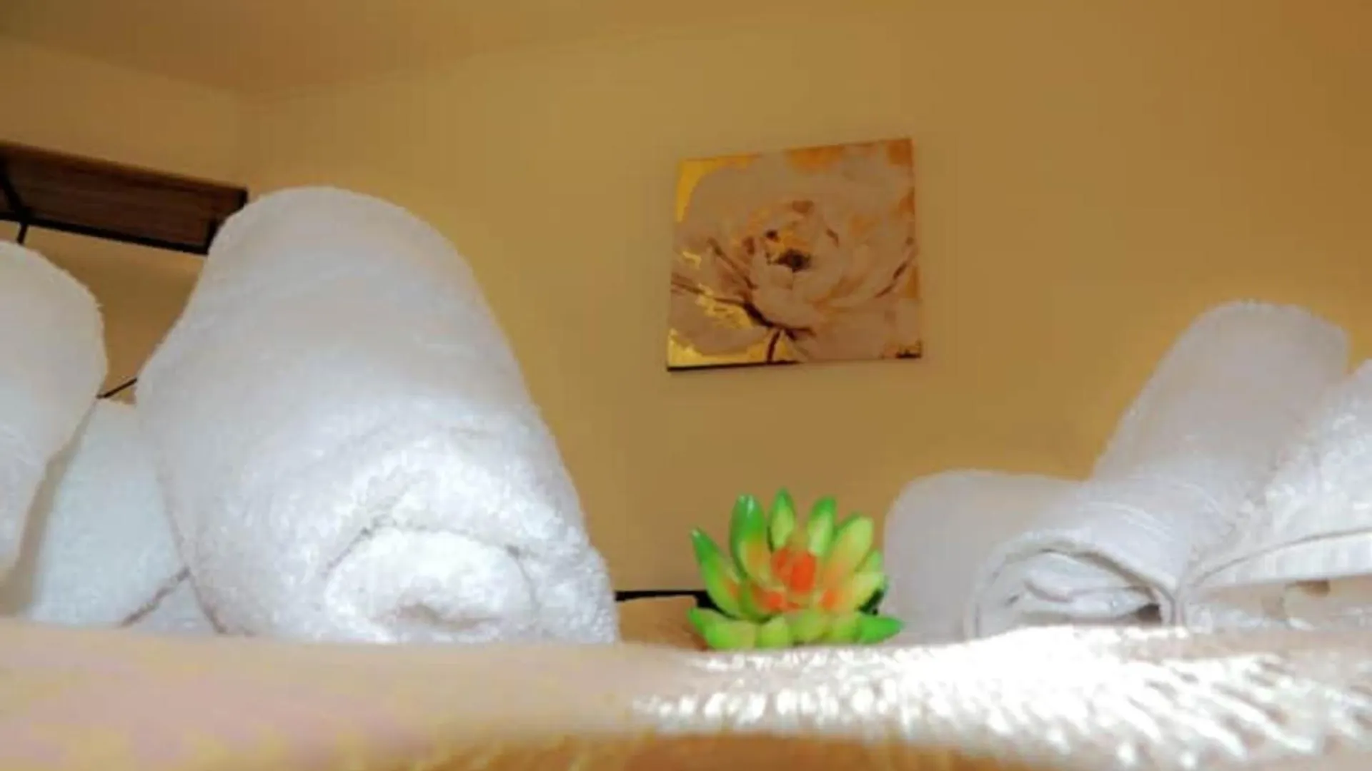 Apartament Toulouse Gare Et Metro 3Mn A Pied
